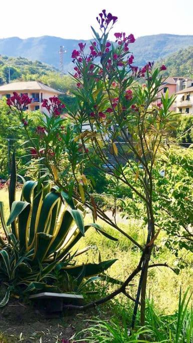 Ferienwohnung La Casa Novella, A 450 Metri Dal Mare Moneglia Exterior foto